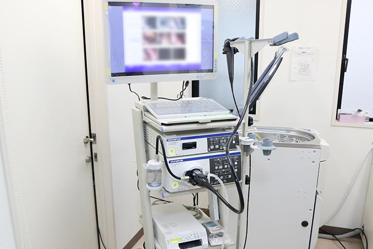 内視鏡ビデオ診断システム